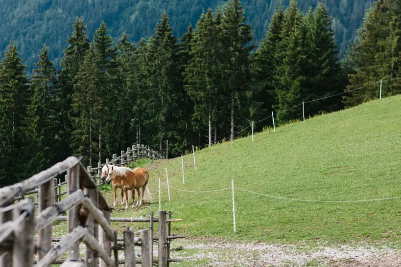 Hochzeitsreportage Laura & Andres - Winterstellgut - Annaberg