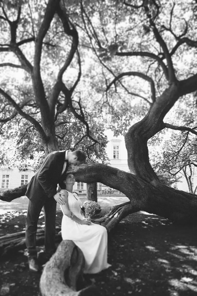 Wedding Stahmann - Mirabell - Salzburg