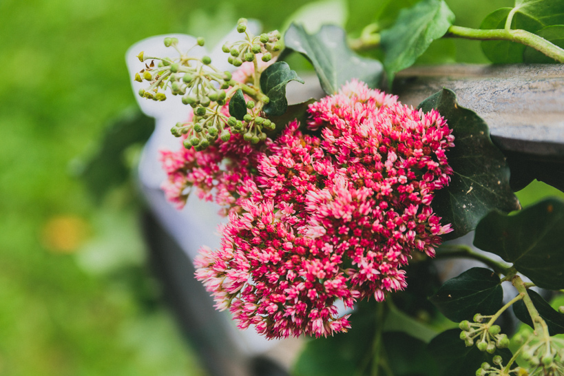 Hochzeit-KathiBernd-Oberndorf