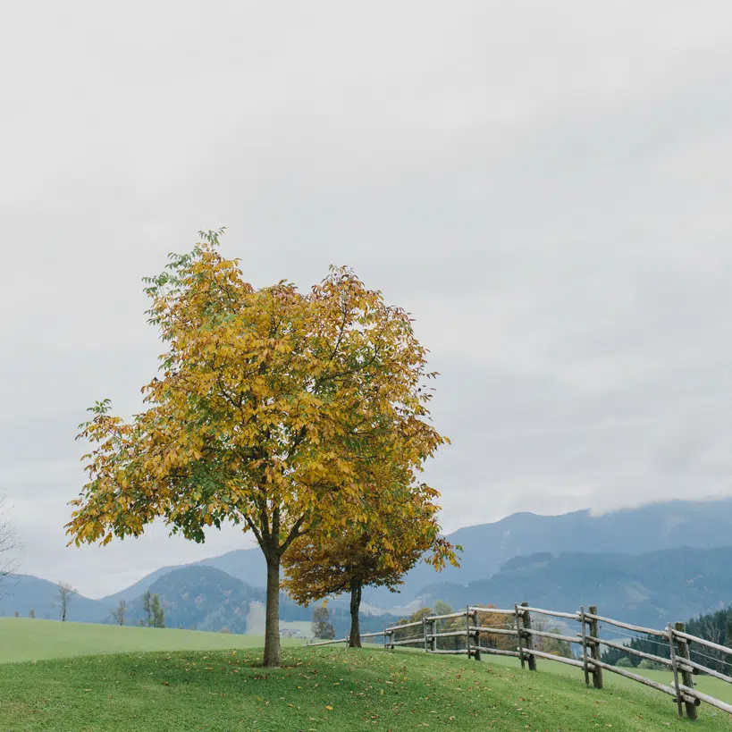 Hochzeitslocation - Winterstellgut - im Herbst