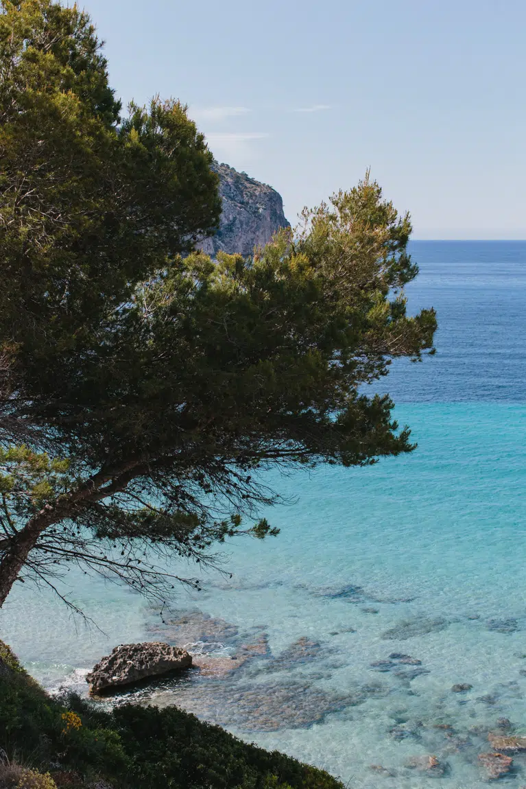 Camp de Mar - Mallorca - Strand