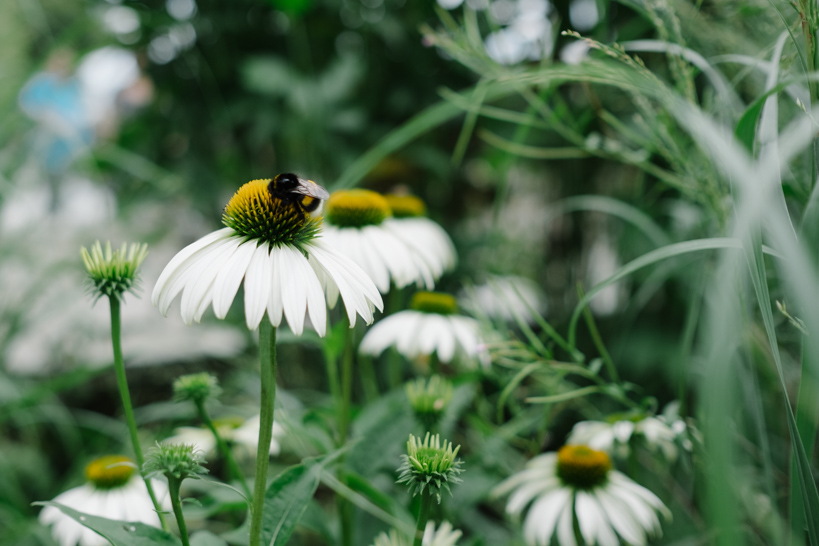 Erfahrungsbericht Fuji XT-2
