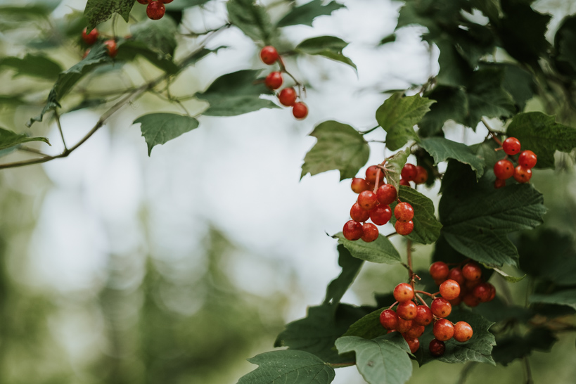 Erfahrungsbericht Fuji XT-2