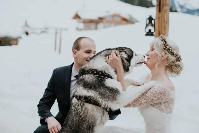 Hochzeit - Monika+David - Jufenalm