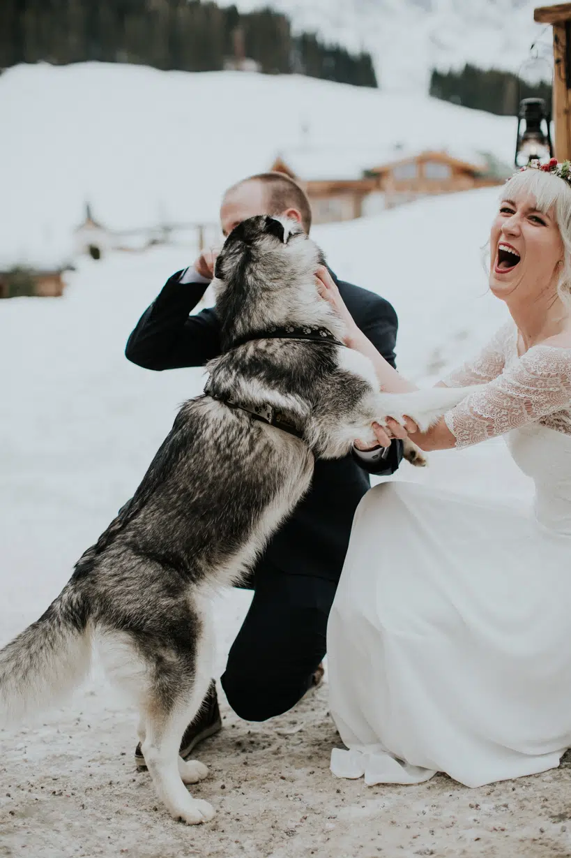 Hochzeit - Monika+David - Jufenalm