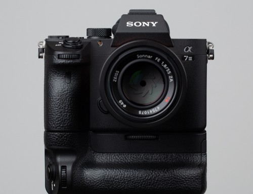 Sony Alpha 7 III – Erfahrungsbericht