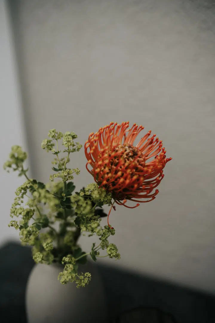 Hochzeit - Maria und Bernd - Seehotel Bellevue