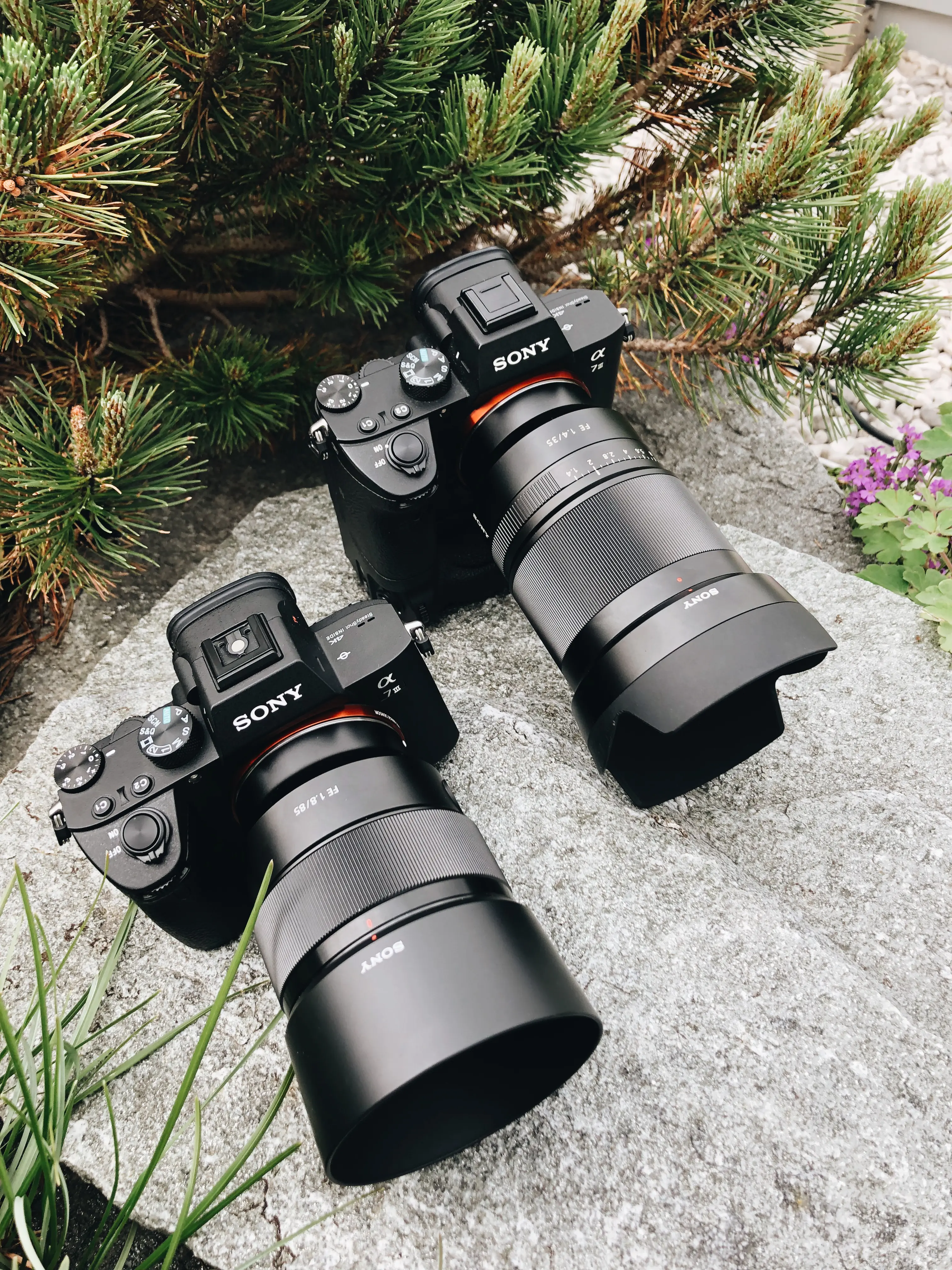 Zwei Sony Alpha 7 iii als Duo-Kit für einen Hochzeitsfotografen