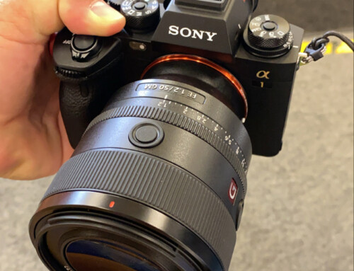 Beispielbilder – Sony Alpha 1 und Sony 50mm 1,2 GM