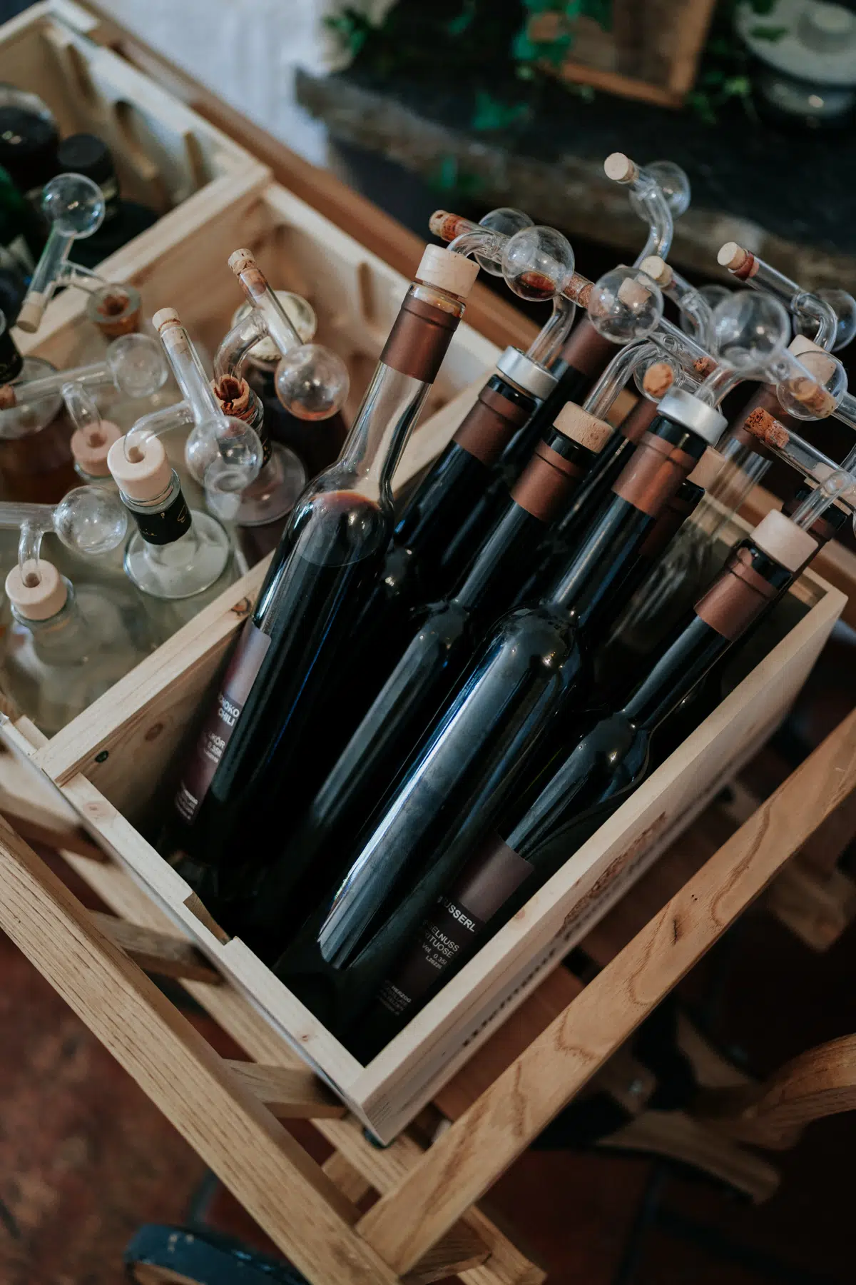 Hochzeit - Franzi und Jonas - Winterstellgut - Annabgerg - Österreich