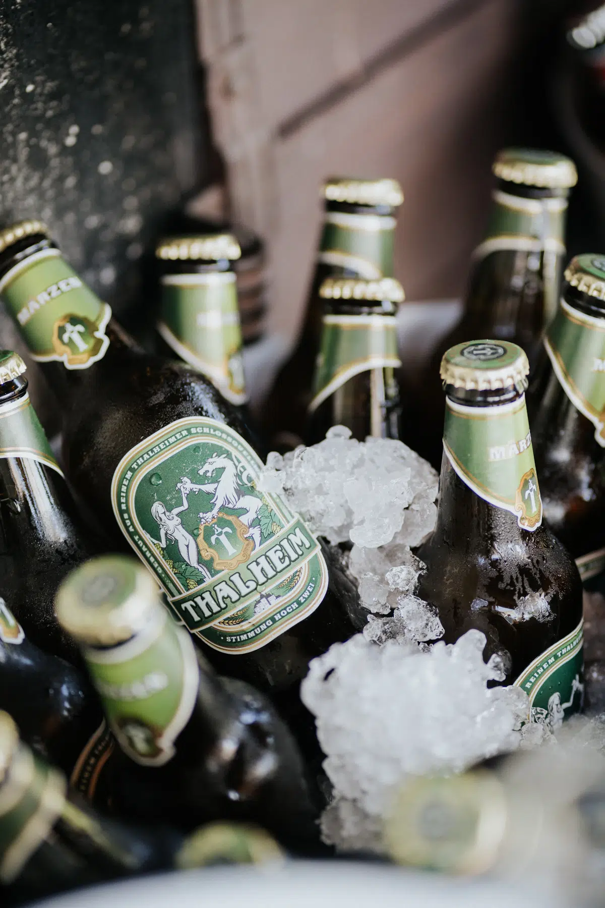 Hochzeit - Franzi und Jonas - Winterstellgut - Annabgerg - Österreich