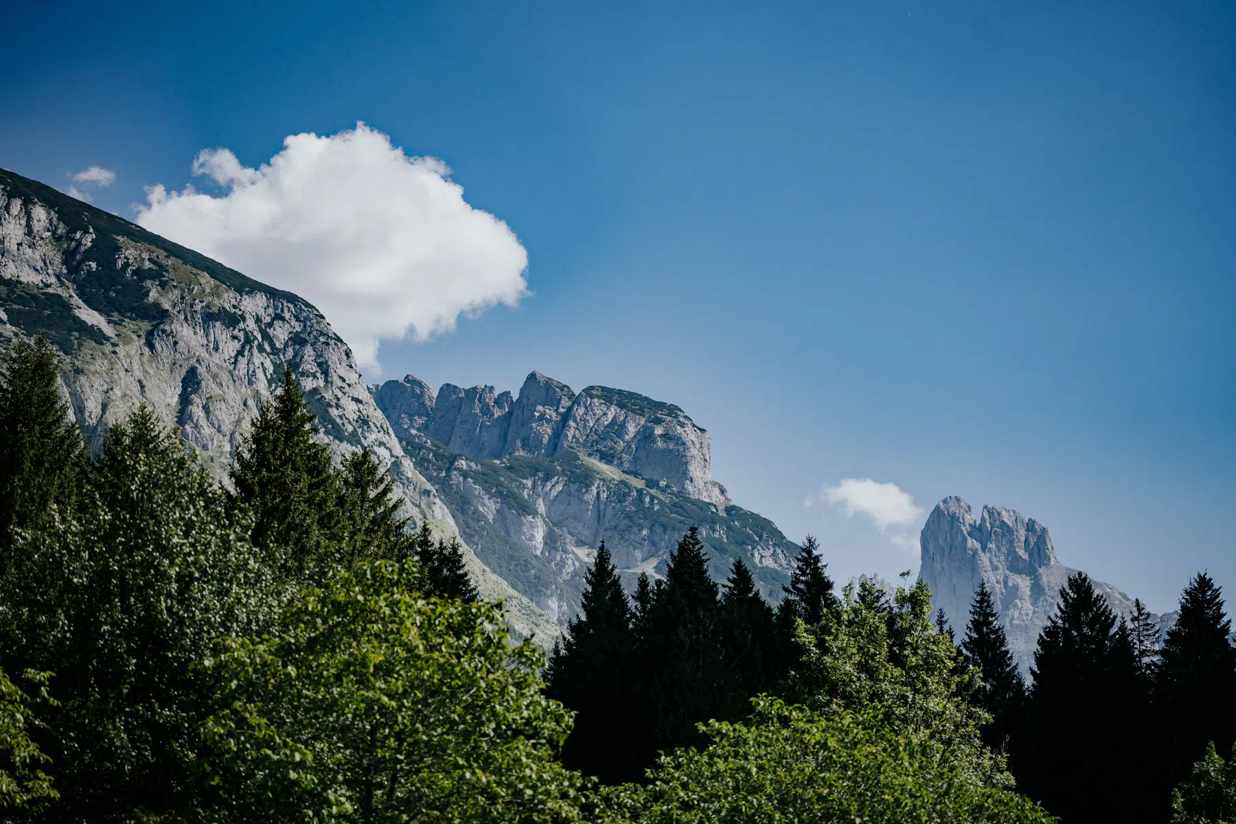 Hochzeit - Franzi und Jonas - Winterstellgut - Annabgerg - Österreich