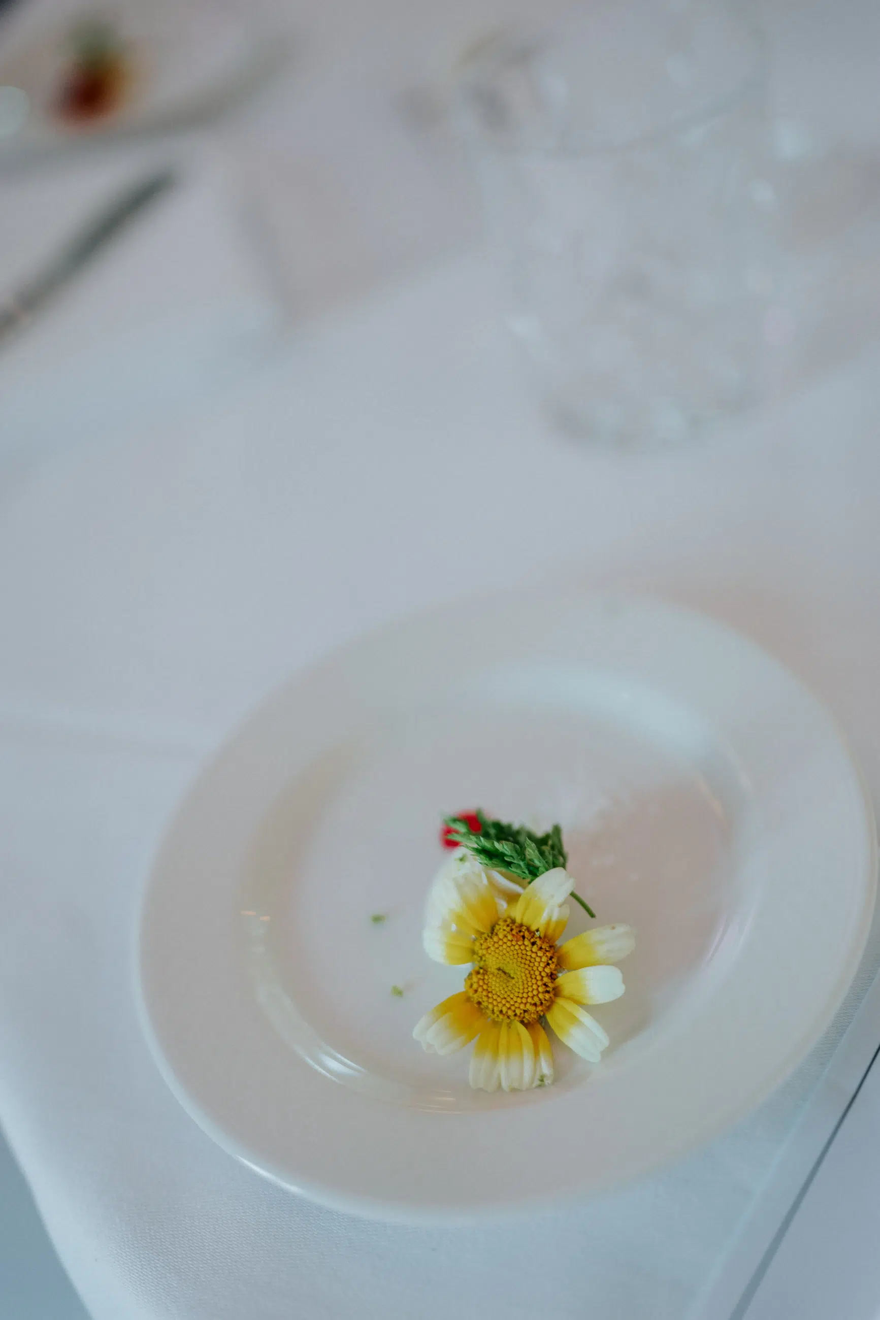 Hochzeit Rochelle und Akos – Schloss Mattsee – by Amir Kaljikovic Hochzeit Rochelle und Akos - Schloss Mattsee - by Amir Kaljikovic