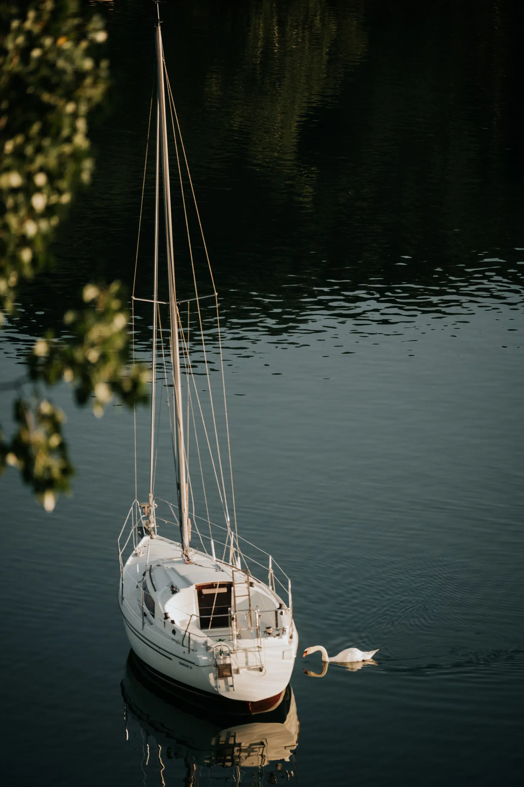 Hochzeit Rochelle und Akos – Schloss Mattsee – by Amir Kaljikovic Hochzeit Rochelle und Akos - Schloss Mattsee - by Amir Kaljikovic