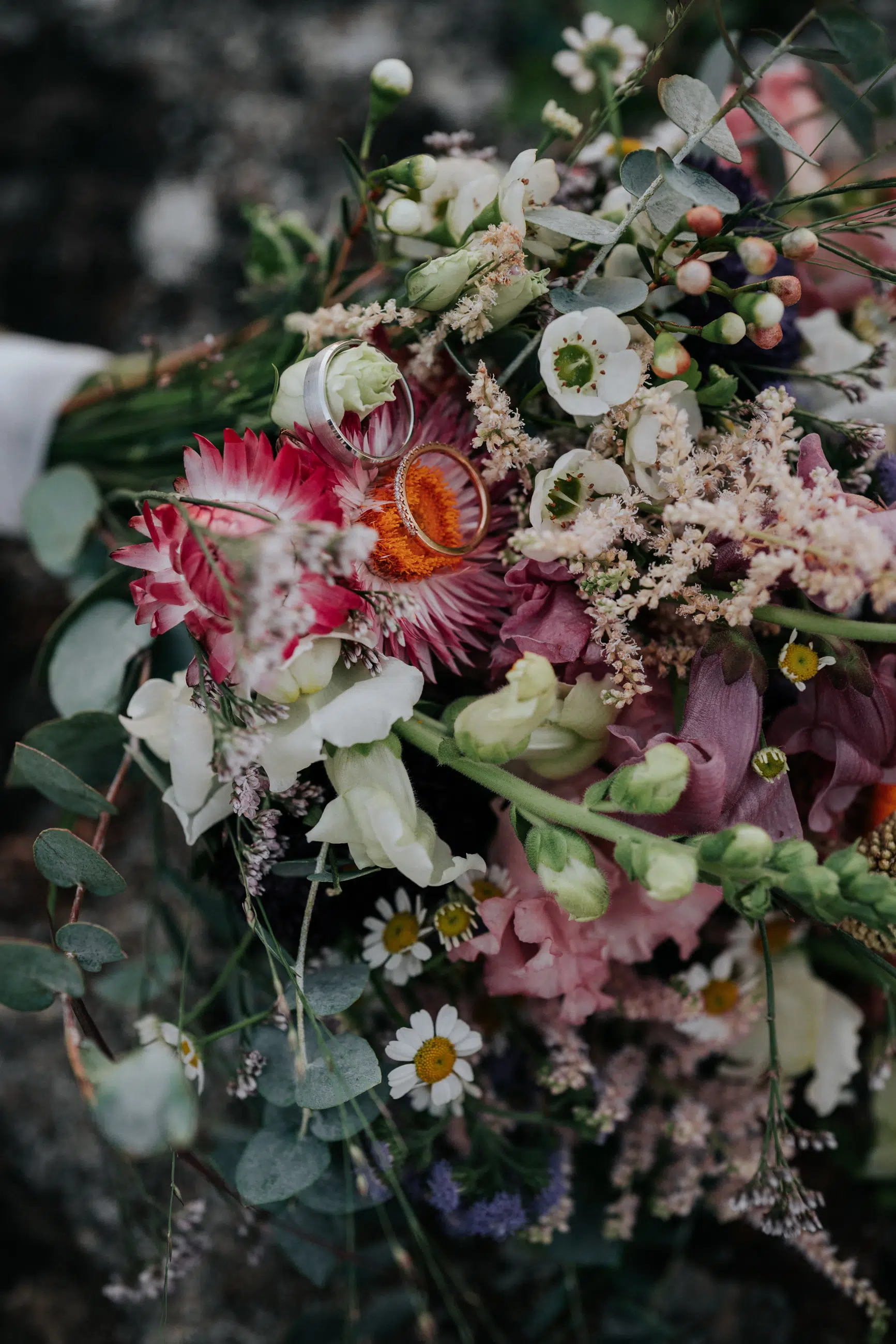 Hochzeit Rochelle und Akos – Schloss Mattsee – by Amir Kaljikovic Hochzeit Rochelle und Akos - Schloss Mattsee - by Amir Kaljikovic